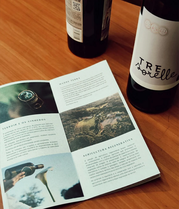 Imago Brochure Design